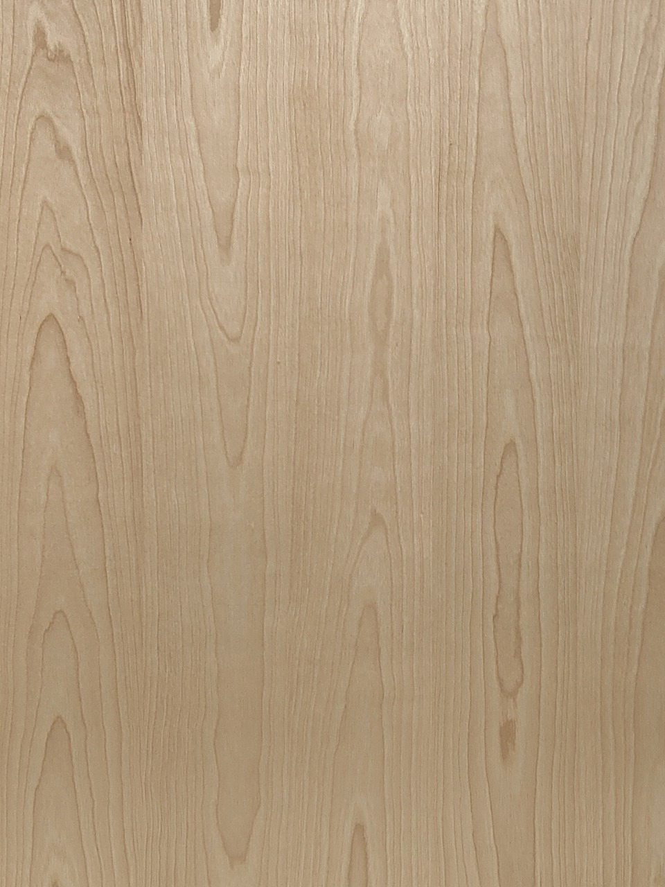 ホワイトバーチ